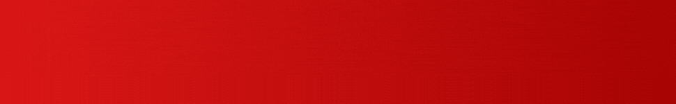 Banner 1