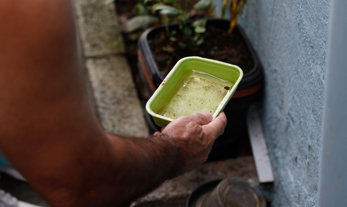 Risco de dengue e chikungunya cresce no Brasil com El Niño