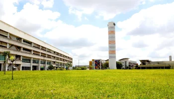 Os interessados em participar dos cursos deverão realizar a inscrição on-line, no Sistema Apolo, até o dia 6 de julho
